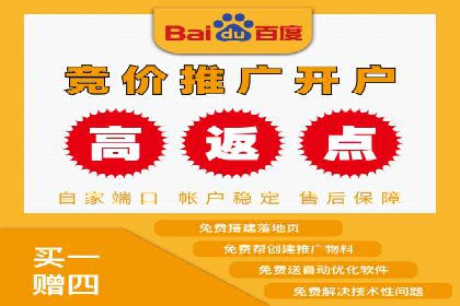 案例对比：SEO与SEM优化效果深度分析