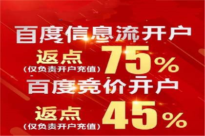 SEM代运营服务公司案例分析：数据驱动营销策略