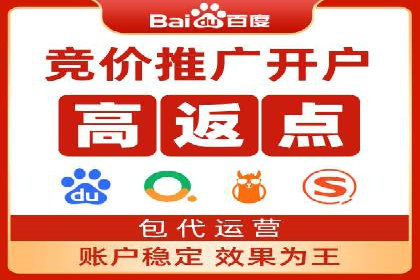 百度优化推广案例剖析：某电商平台的成功之路